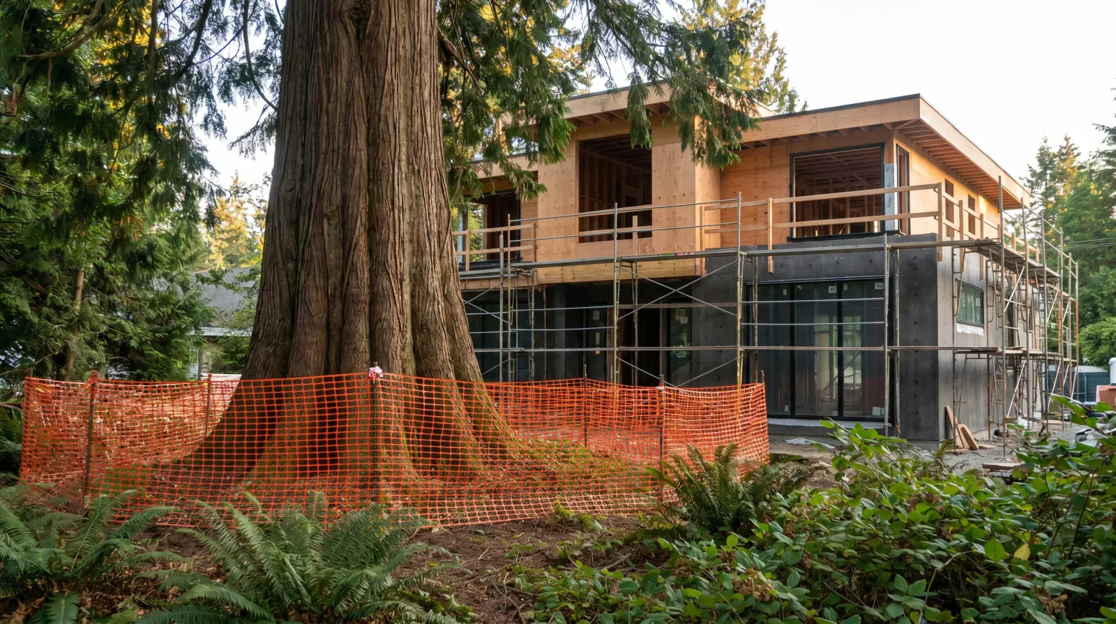 The Burnaby Tree Bylaw: What 'Protected Tree' Really Means for Your Custom Home