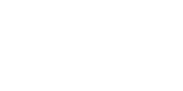 Icon Projects