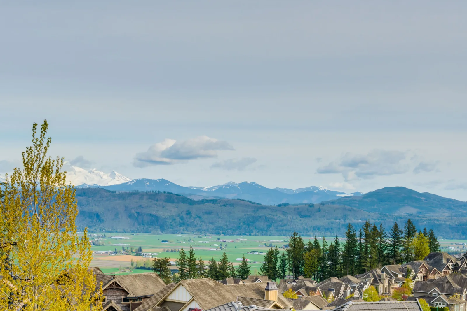 Eagle Mountain Contemporary, Coquitlam, BC detail view 62